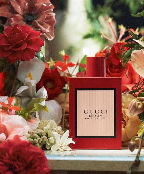 gucci bloom ambrosia di fiori myer|gucci bloom ambrosia perfume review.